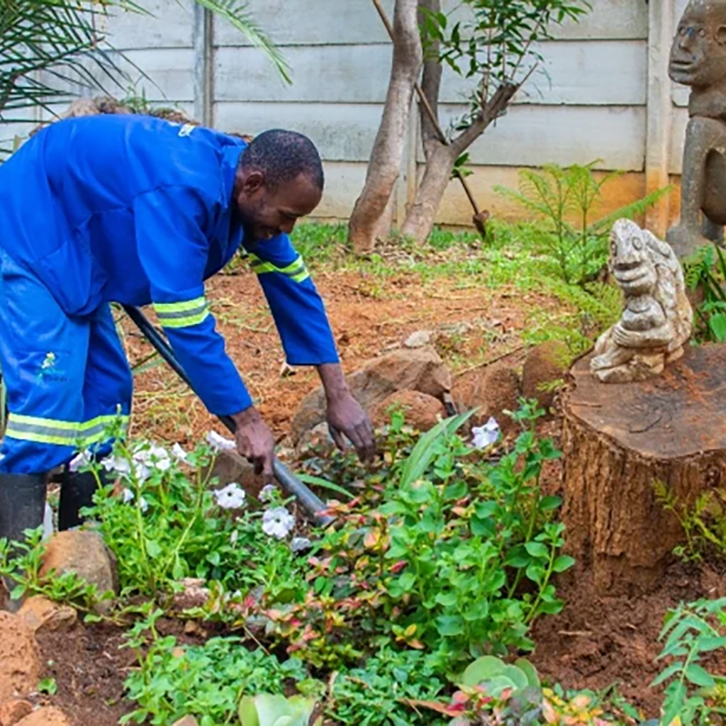 Expert Garden Maintenance&Landscaping Services