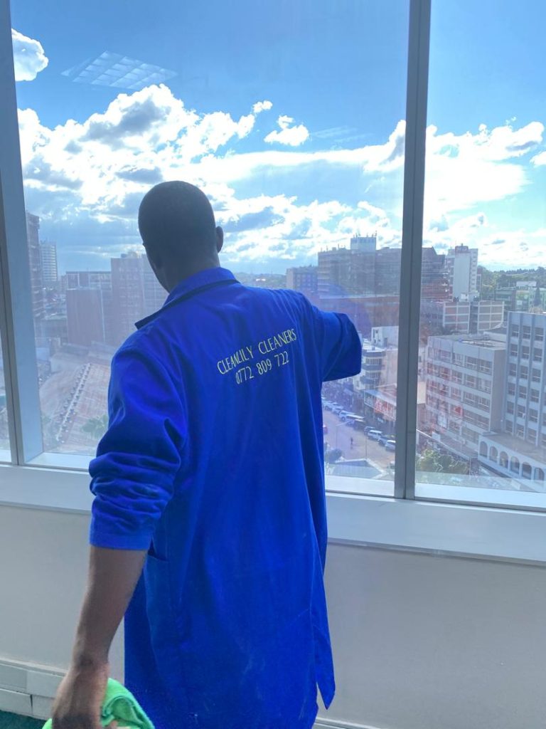 Comprehensive window cleaning services