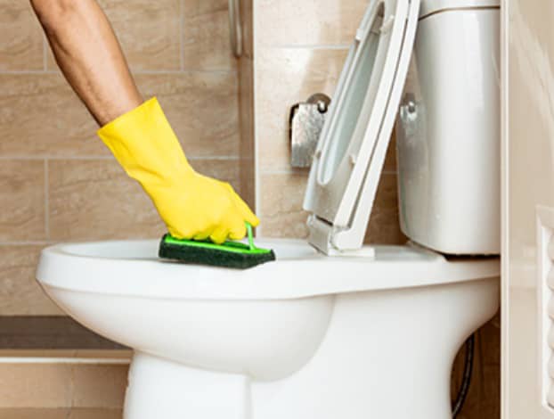 Advanced toilet deep cleaning for optimal hygiene